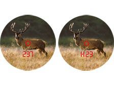 Rangefinder Binoculars Deer