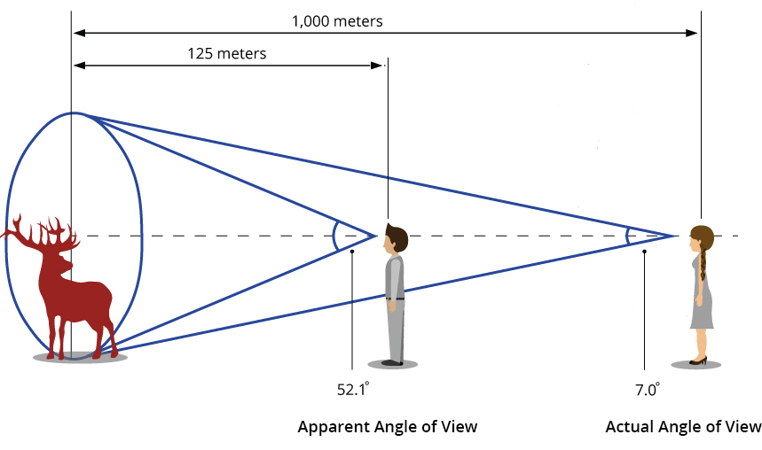 Binoculars Angle of View